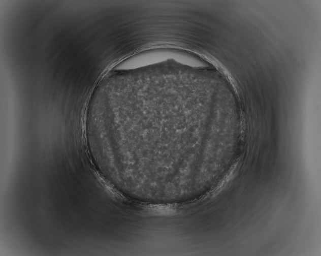 X0000086730937200705111612