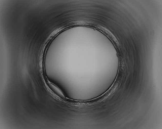 X0000086730938200705111612