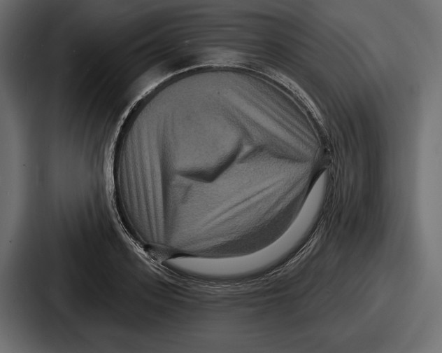 X0000086730939200705111612