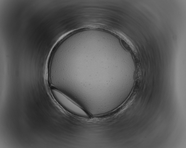 X0000086730940200705111612