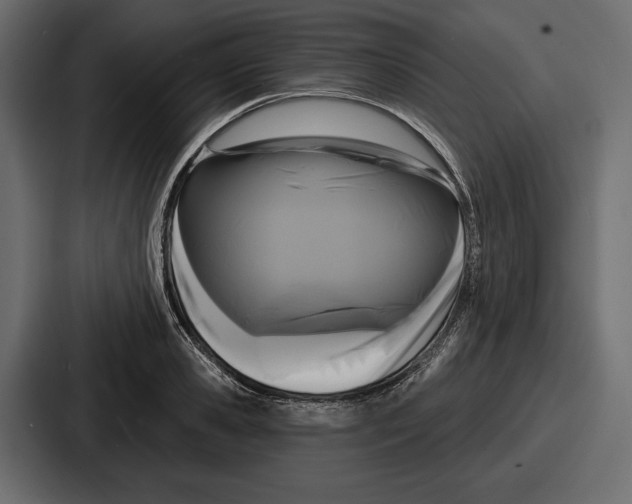X0000086730941200705111612