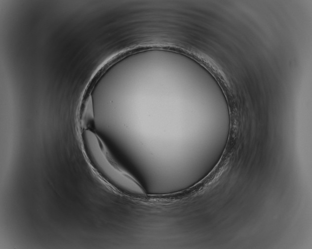 X0000086730942200705111612