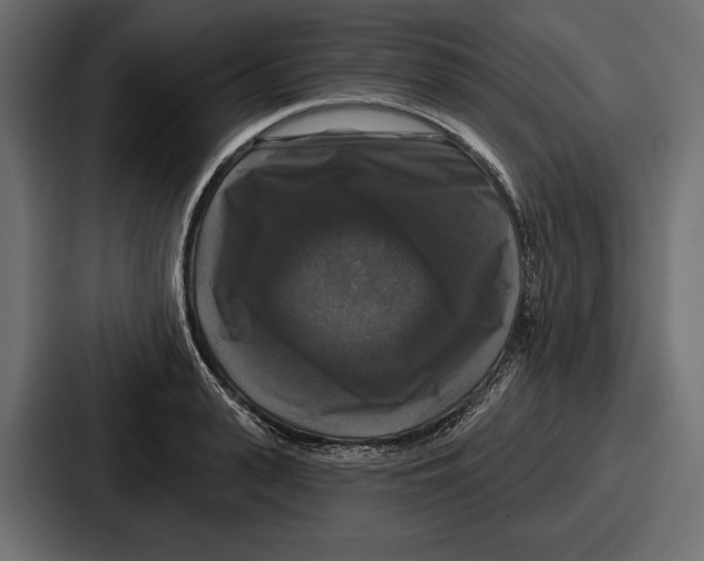 X0000086730943200705111612