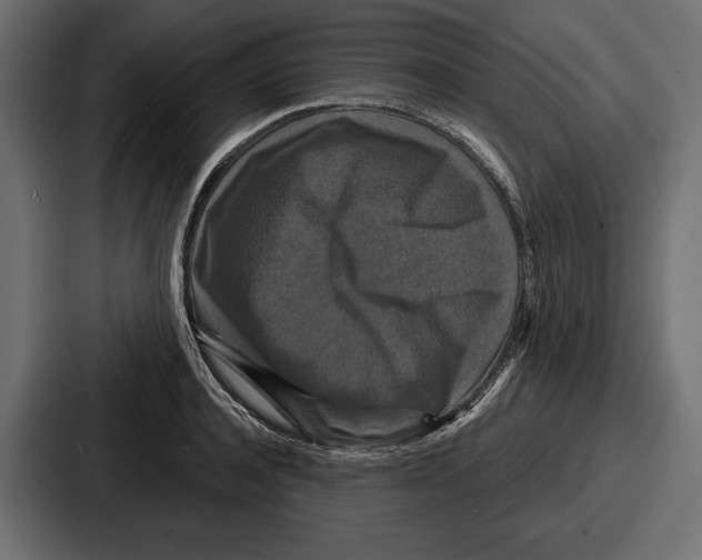 X0000086730944200705111612