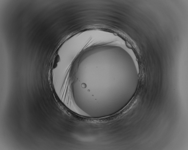 X0000086730945200705111612