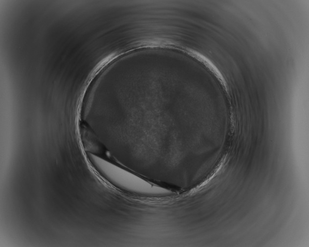 X0000086730946200705111612
