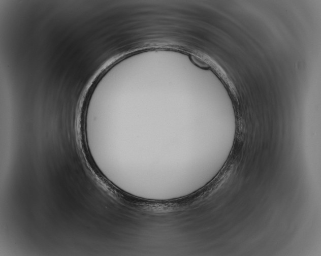 X0000086730947200705111612