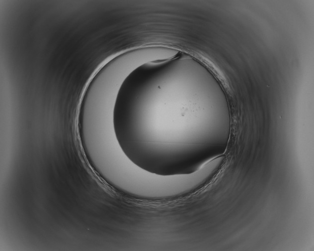 X0000086730948200705111612