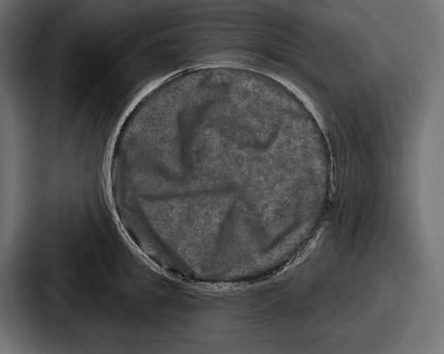 X0000086730949200705111612