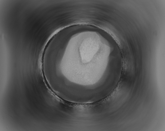 X0000086730950200705111612