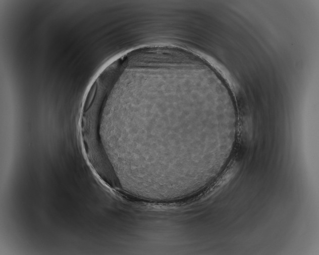 X0000086730951200705111612