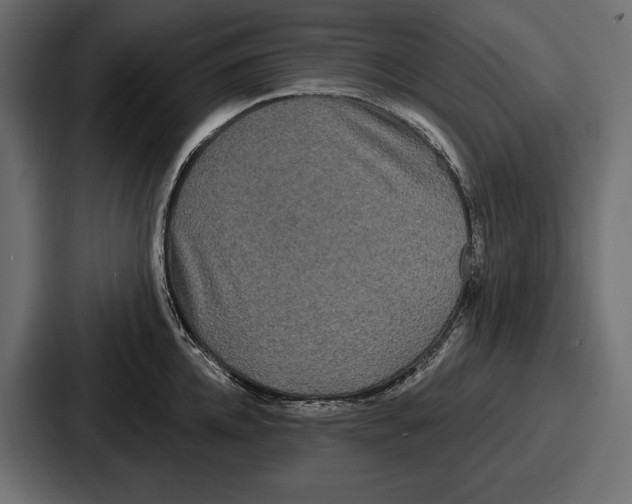 X0000086730952200705111612