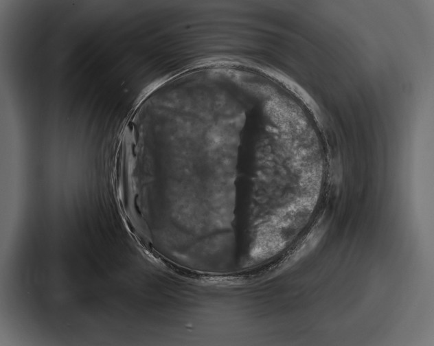 X0000086730953200705111612