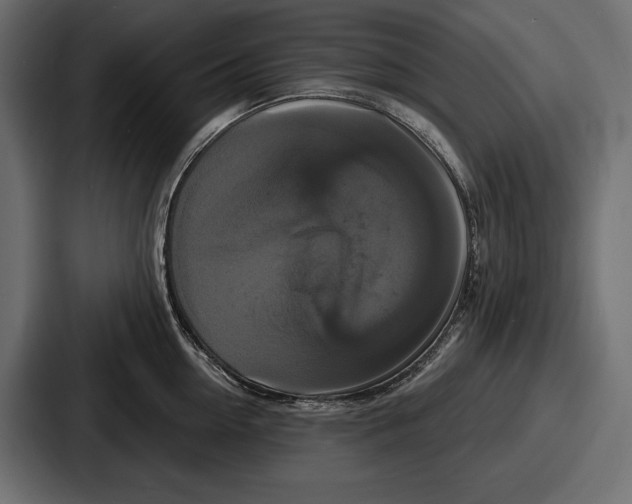 X0000086730954200705111612