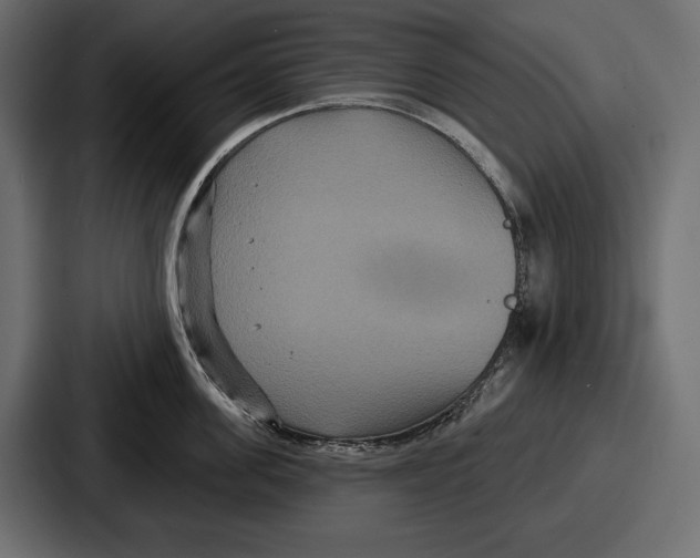 X0000086730955200705111612