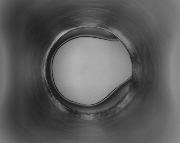 X0000086730956200705111612