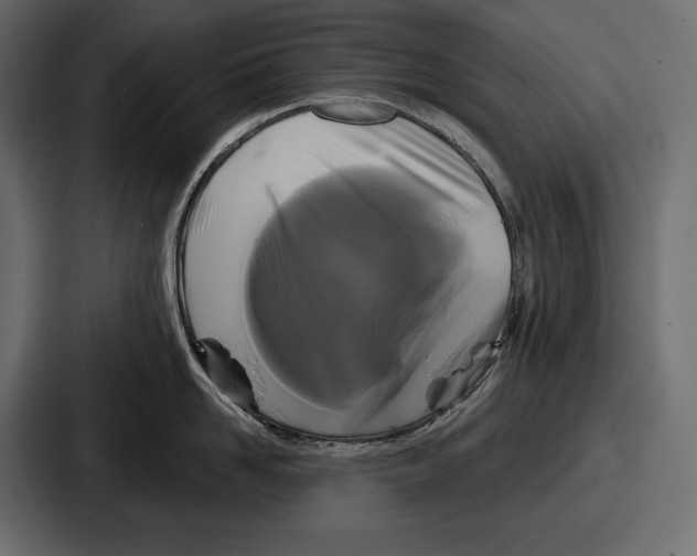 X0000086730958200705111612