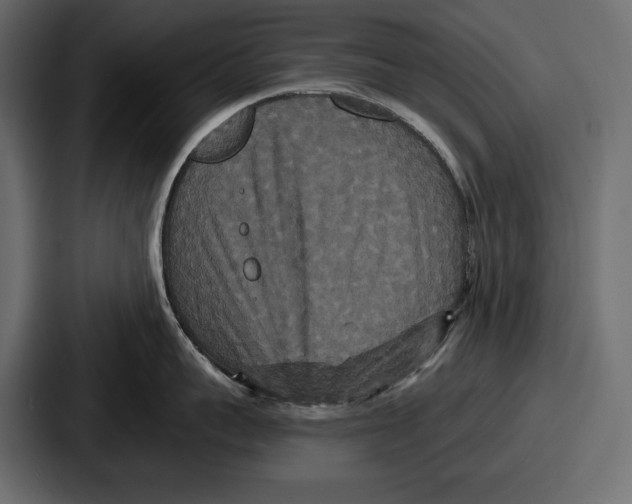 X0000086730959200705111612