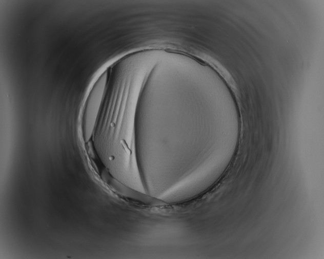 X0000086730960200705111612