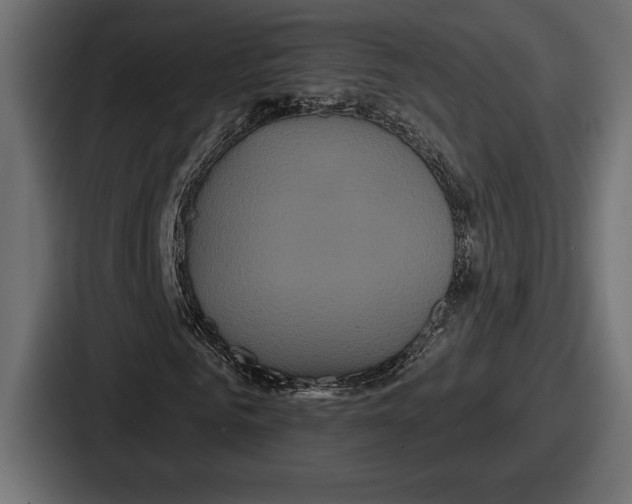 X0000086730961200705111612