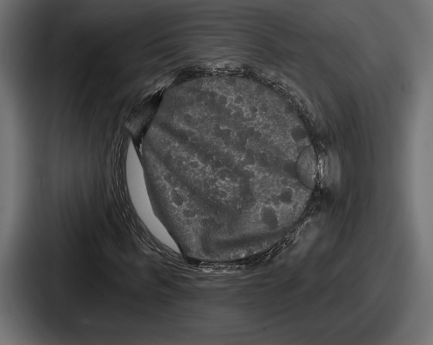 X0000086730963200705111611