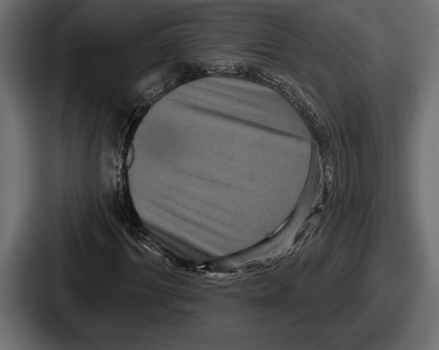 X0000086730964200705111611