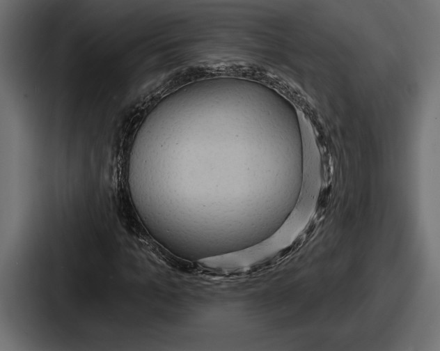 X0000086730965200705111611