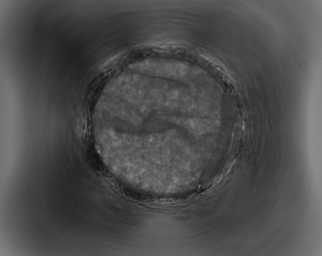 X0000086730966200705111611