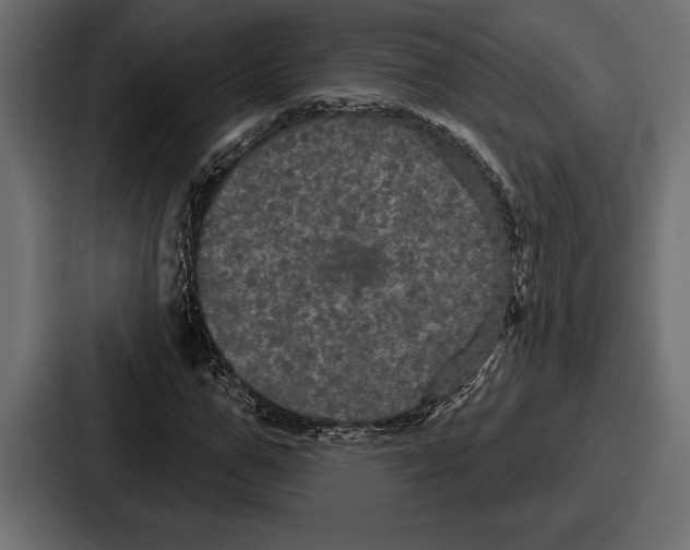 X0000086730967200705111611