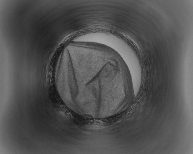 X0000086730968200705111611