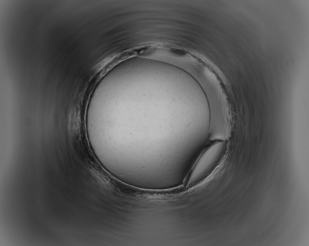 X0000086730969200705111611