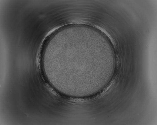 X0000086730971200705111611