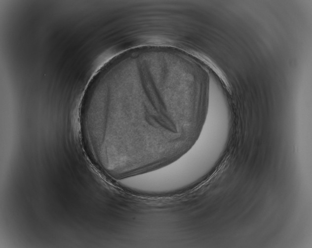 X0000086730972200705111611