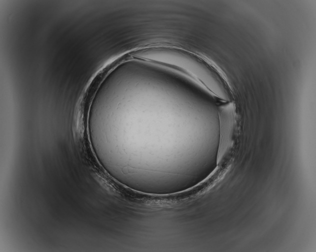 X0000086730973200705111611