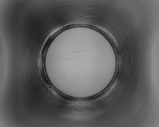 X0000086730974200705111611