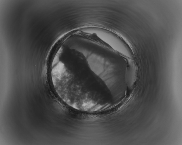 X0000086730975200705111611