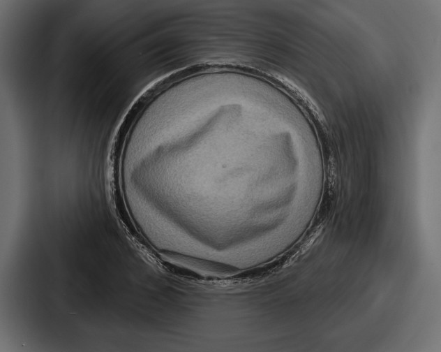 X0000086730976200705111611