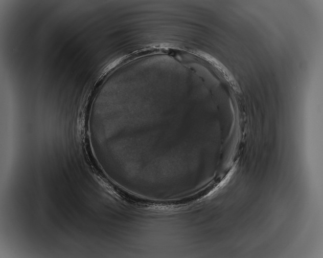 X0000086730977200705111611