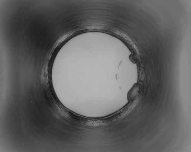 X0000086730978200705111611