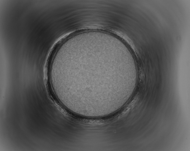 X0000086730979200705111611