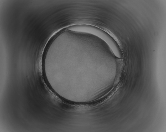 X0000086730980200705111611
