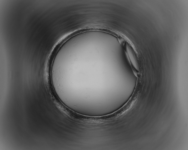 X0000086730981200705111611