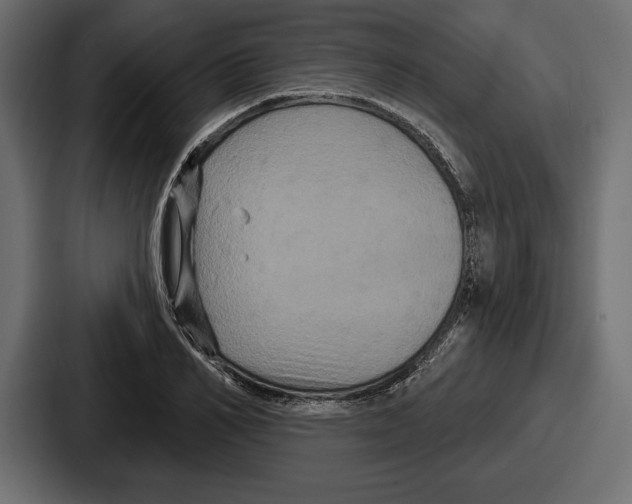 X0000086730982200705111611