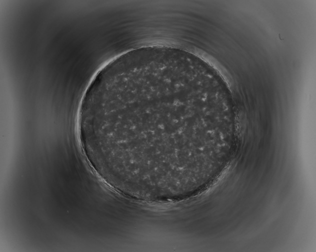 X0000086730983200705111611