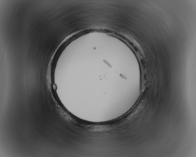 X0000086730984200705111611