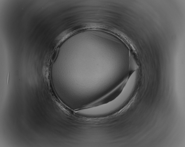 X0000086730985200705111611