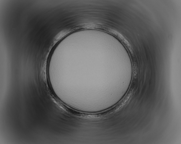 X0000086730986200705111611
