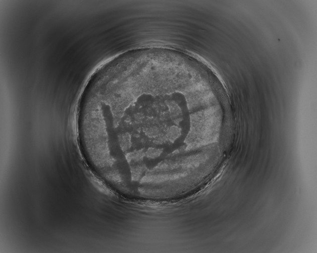 X0000086730987200705111611