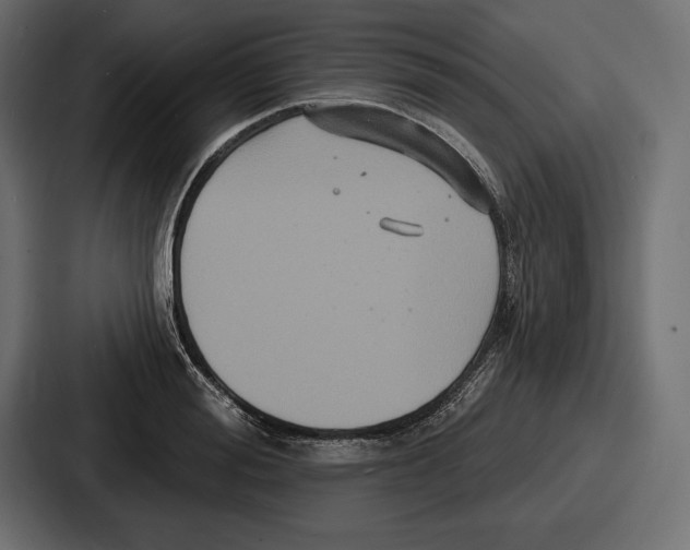X0000086730988200705111611