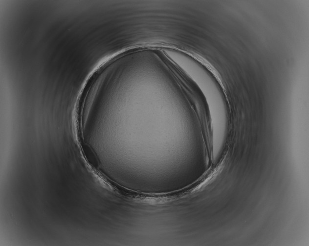 X0000086730989200705111611